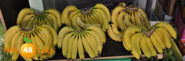 markaz khodare 3 (20).JPG